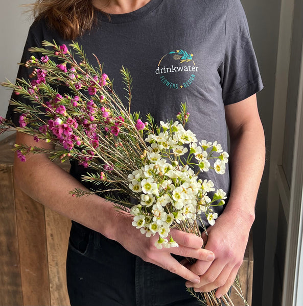Drinkwater Signature Merchandise - Bella T-shirt
