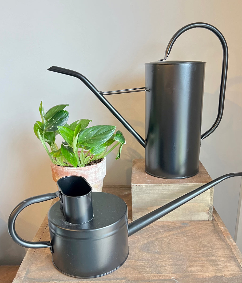 Fletch Watering Can – Drinkwater Flowers