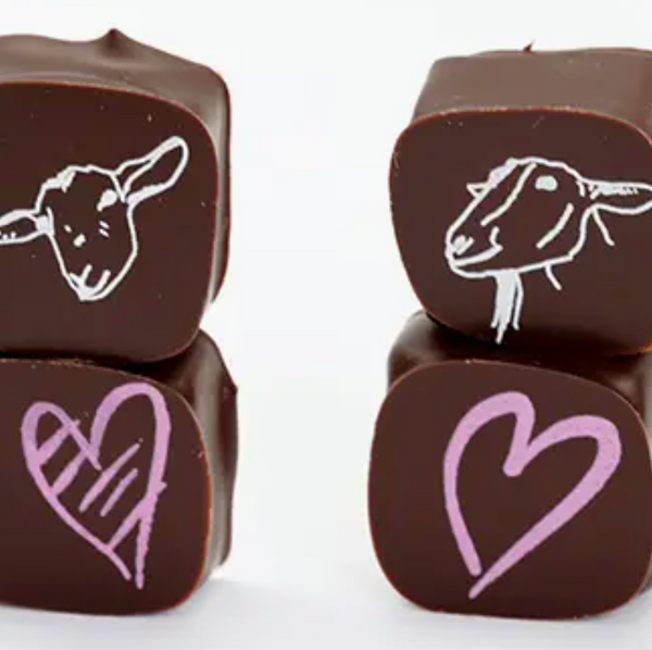 Big Picture Farm Chocolate Covered Caramels